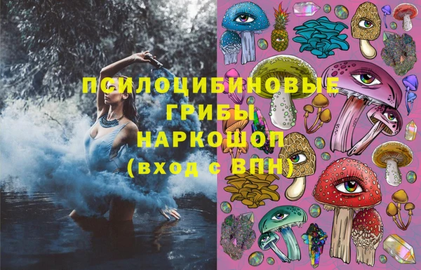 тгк Горно-Алтайск