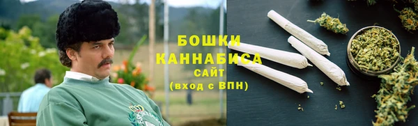 ПСИЛОЦИБИНОВЫЕ ГРИБЫ Тавда