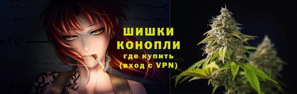 тгк Горно-Алтайск