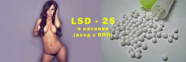 тгк Горно-Алтайск