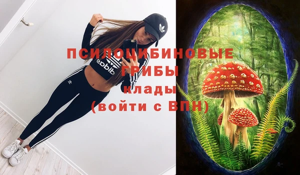 а пвп мука Горняк