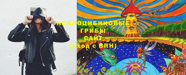 apvp Горнозаводск