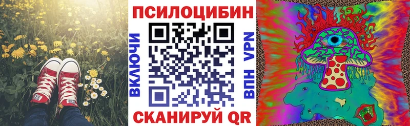 OMG ссылки  купить наркотик  Семёнов  Псилоцибиновые грибы GOLDEN TEACHER 