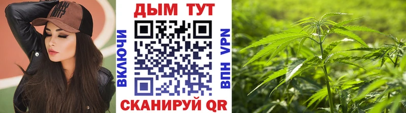 как найти   Семёнов  Бошки марихуана Amnesia 